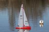 2IRYC 2024_03_03 0020